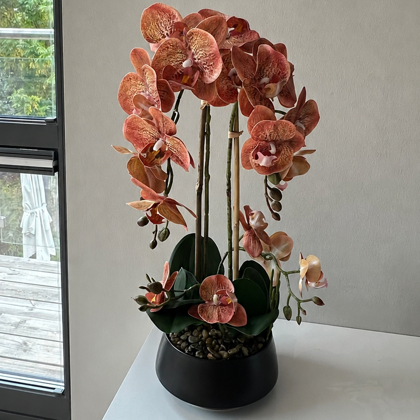 Orkidea ruskea/viininpunainen 47 cm