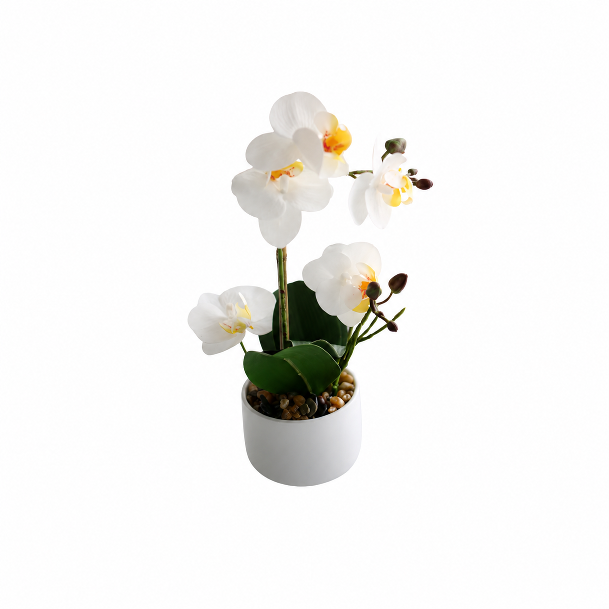 Orkidea valkoinen 30 cm