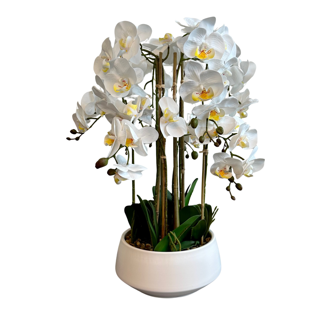 Orkidea valkoinen 52 cm valkoinen ruukku