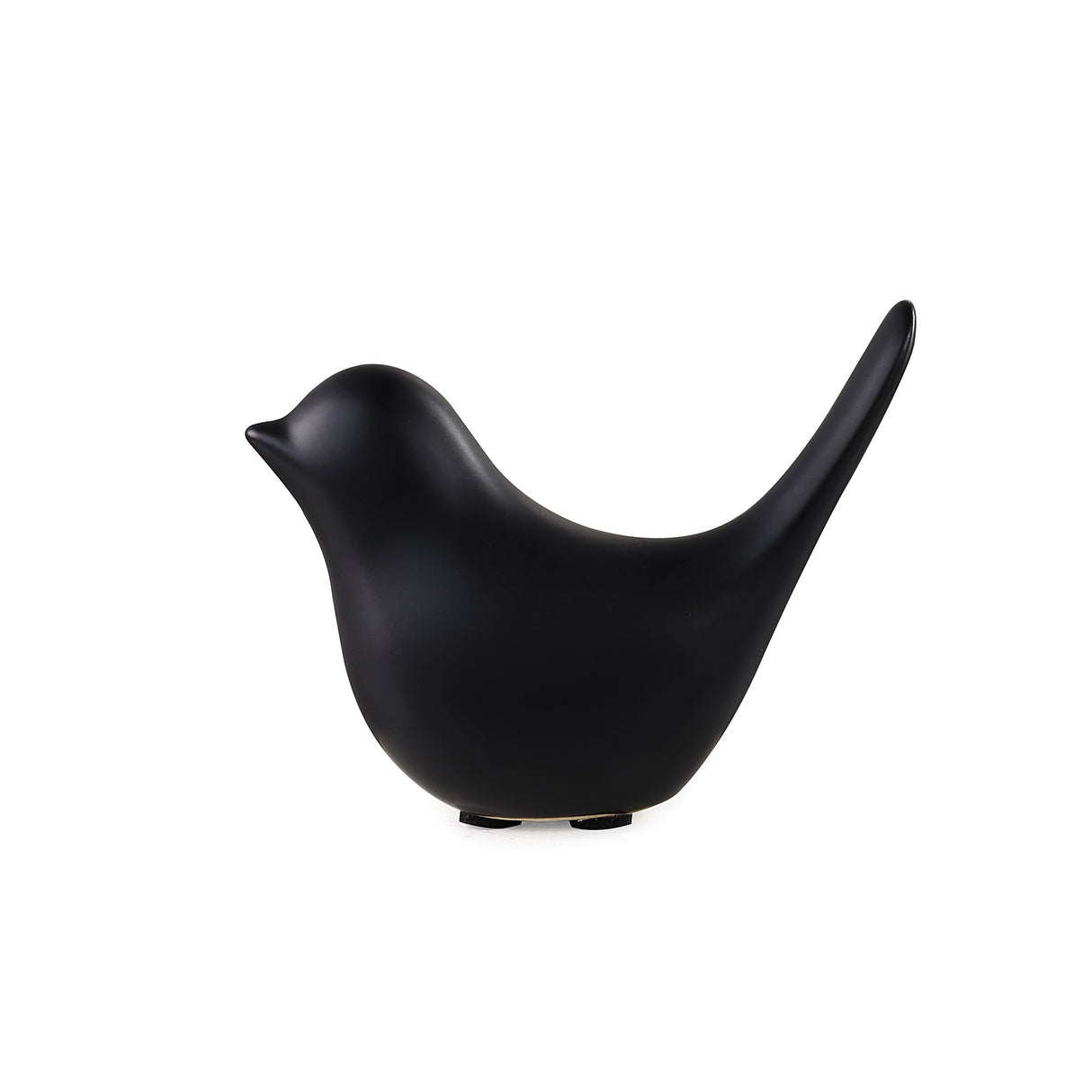 Bird lintukoriste musta pieni