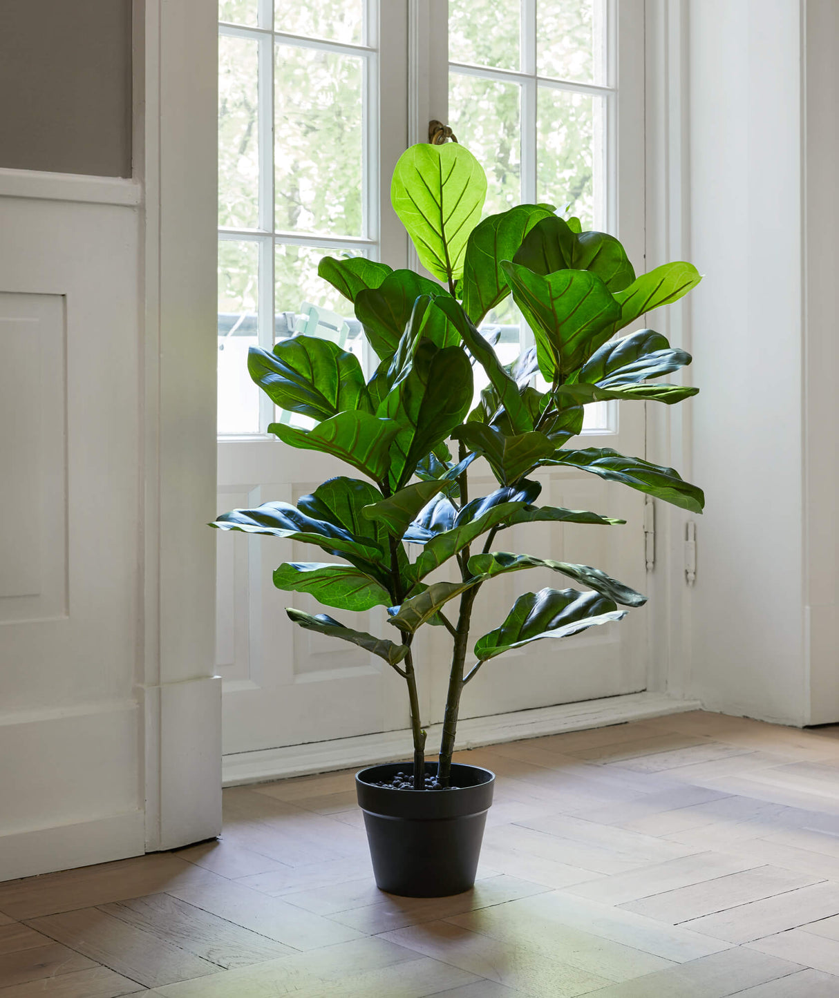 Flora Lyyraviikuna 100 cm
