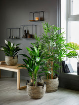 Hanoi korisetti 3 kpl/pkt