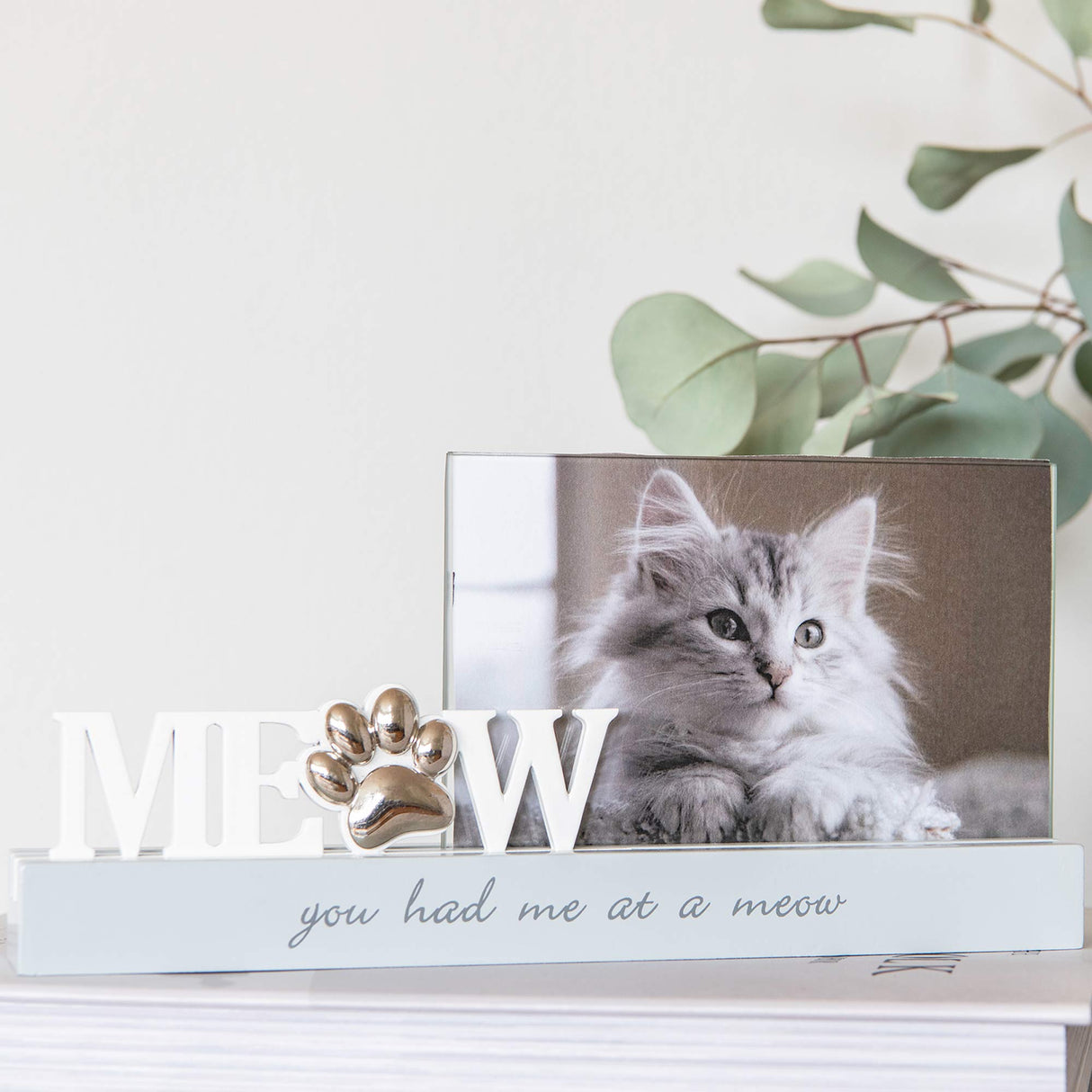 Meow kehykset