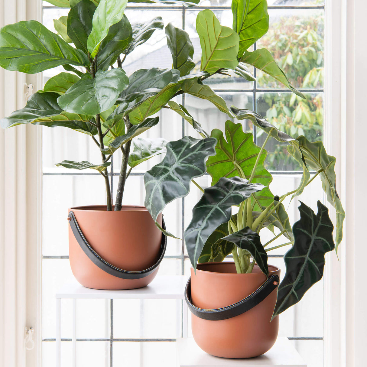 Lola terracotta suojaruukku