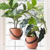 Lola terracotta suojaruukku